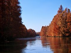 -上海海湾国家森林公园