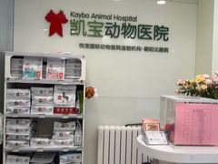 -悦宠凯宝动物医院·牙科·皮肤科(朝阳北路店)
