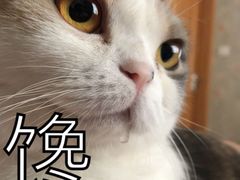 -ZING COFFEE 镜咖啡