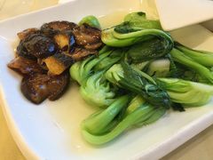 -复旦大学本部-食堂