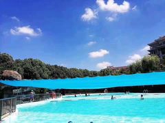 -小海豚国际游泳培训中心(松江九亭店)