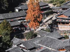 -林坑古村落