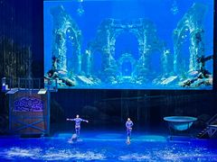 -海合安武汉极地海洋公园
