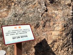 -羚羊峡古栈道森林公园