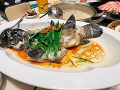 -花城粤菜餐厅(高新区店)