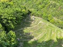 -石台牯牛降景区