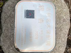 -上海佘山国家森林公园天马山园