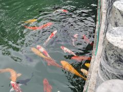 -千滋百味·醉江澜花园餐厅(街道口店)