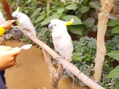 -南宫五洲植物乐园