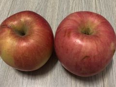 -百果园PAGODA(应元路店)