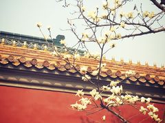-东华门大街小区