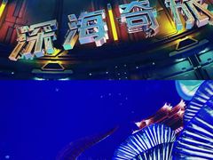 -南戴河国际娱乐中心