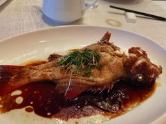 东星斑-听松楼-中餐厅.家宴(红梅公园店)