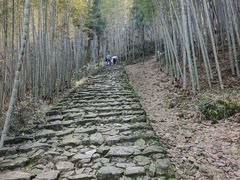 -仙霞关景区