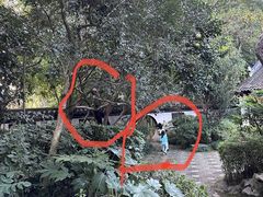 -汇龙潭
