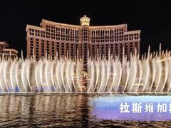 -拉斯维加斯O秀