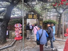 -庐山风景区花径公园