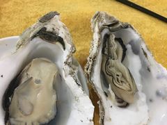 -蚝专家(北滘店)