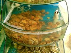 -晓伟海鲜家常菜