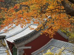 -北京上方山国家森林公园