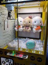 -嗨翻Hi-Fun竞技主题乐园·蹦床团建生日聚会(五棵松华熙店)