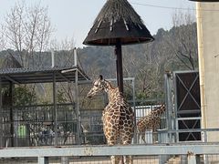 -上方山森林动物世界