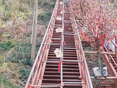 -梅岭月亮湾山体公园