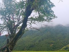 -硗碛藏寨·神木垒景区