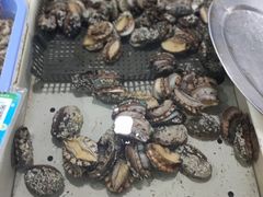 -大湾区中央湿地公园