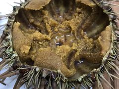 -海胆小馆(东北水饺·春柳店)