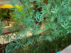 -初蓉丨遇见新川菜(亲贤街荣耀店)