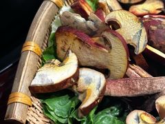 -滇野云南野生菌餐厅(陕西南路店)