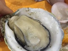 -蚝专家(北滘店)