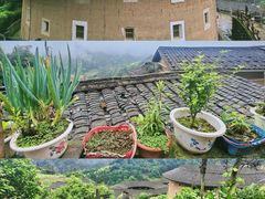 -南靖田螺坑土楼群景区
