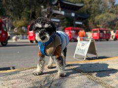 -云龙山