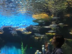 -华夏文旅海洋公园