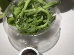 -一叶一世界•素食餐厅(环球中心店)