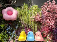 -正佳雨林生态植物园