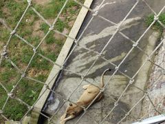 -西霞口神雕山野生动物世界