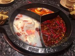 奔驰锅底-蜀大侠火锅(森兰花园城店)