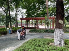 -映月湖公园