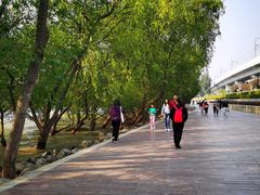 -宝安西湾红树林湿地公园