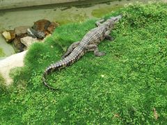 -青岛森林野生动物世界
