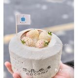 圆溜溜の椰子蛋和软嫩嫩の白草莓椰冻谁能拒绝啊！！