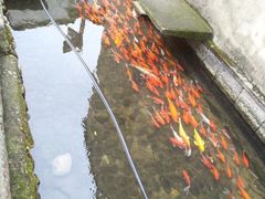 -前童古镇