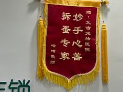 -艾吉宠物医院·疑难杂症转诊中心·猫友好(碧江路院)