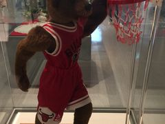 -济州岛泰迪熊博物馆