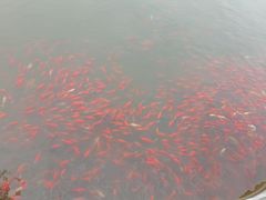 -迎泽公园