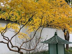 -秋霞圃