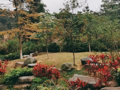-火炉山森林公园